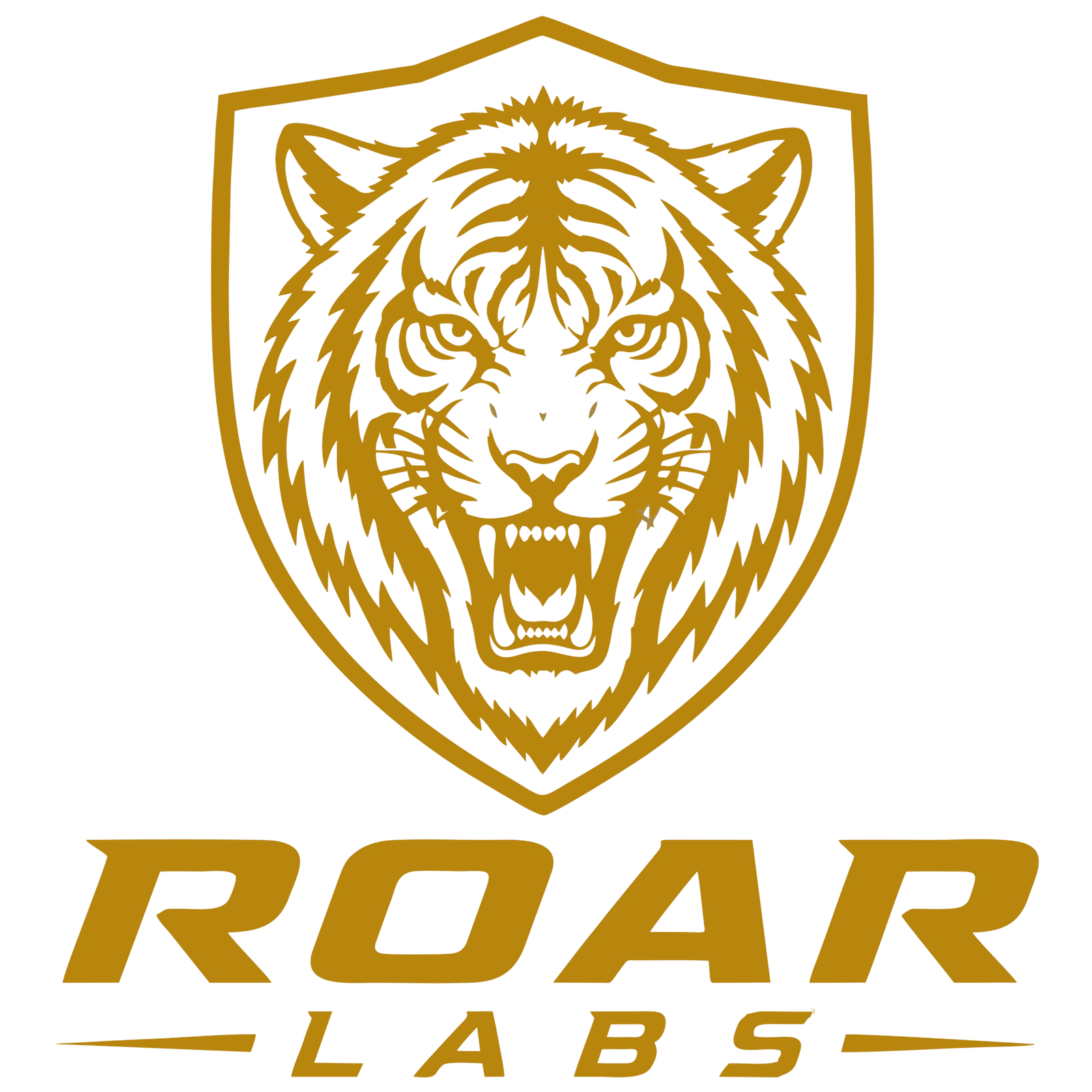 roarlab.in